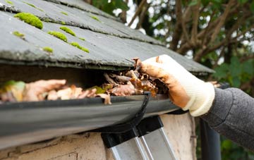 gutter cleaning East Common, North Yorkshire